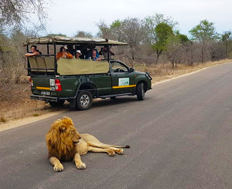 Afternoon (PM) Game Drive