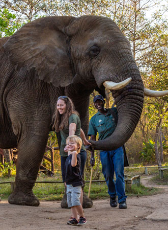 Elephant Sanctuary