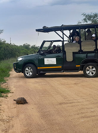 Full Day Game Drive