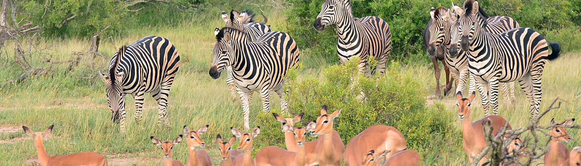 Eastgate Safaris and Tranfers